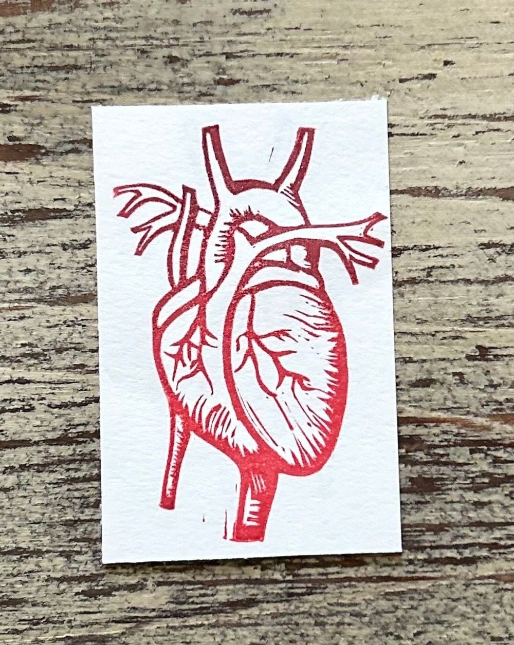 anatomical heart hand carved rubber stamp